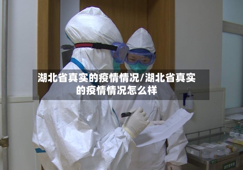 湖北省真实的疫情情况/湖北省真实的疫情情况怎么样-第1张图片
