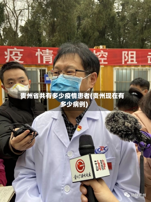 贵州省共有多少疫情患者(贵州现在有多少病例)-第1张图片