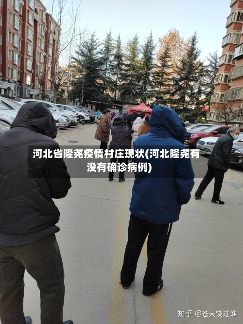 河北省隆尧疫情村庄现状(河北隆尧有没有确诊病例)-第3张图片