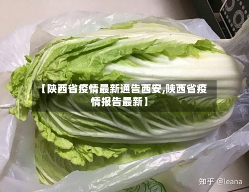 【陕西省疫情最新通告西安,陕西省疫情报告最新】-第3张图片