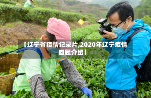 【辽宁省疫情记录片,2020年辽宁疫情回顾介绍】-第1张图片
