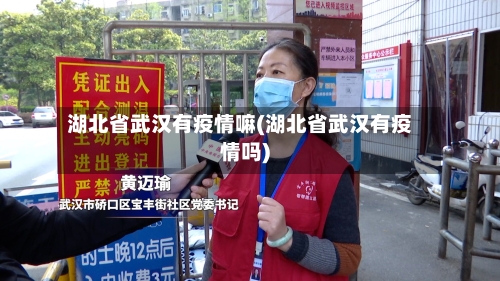 湖北省武汉有疫情嘛(湖北省武汉有疫情吗)-第3张图片