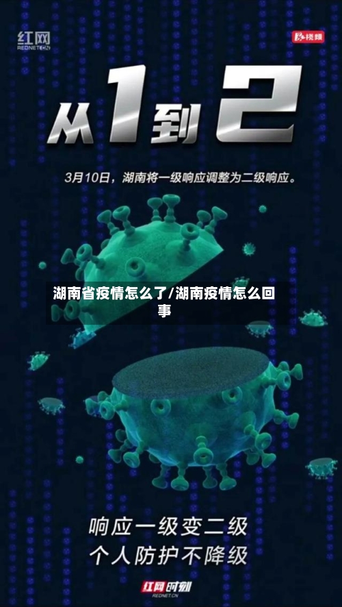湖南省疫情怎么了/湖南疫情怎么回事-第2张图片