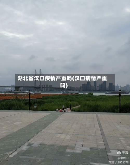 湖北省汉口疫情严重吗(汉口病情严重吗)-第1张图片