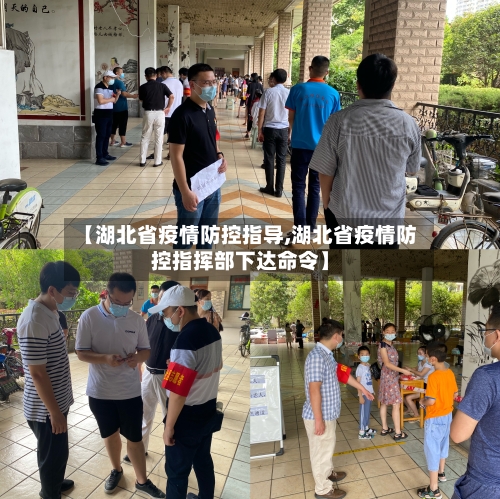 【湖北省疫情防控指导,湖北省疫情防控指挥部下达命令】-第2张图片