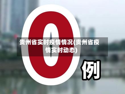贵州省实时疫情情况(贵州省疫情实时动态)-第3张图片