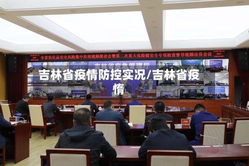 吉林省疫情防控实况/吉林省疫惰-第1张图片