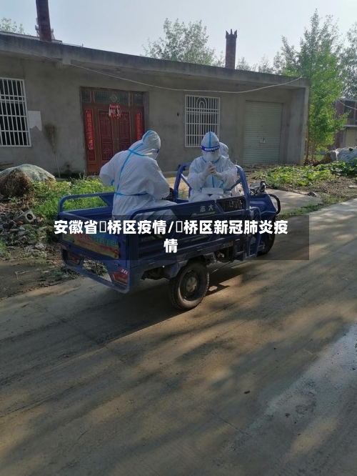 安徽省埇桥区疫情/埇桥区新冠肺炎疫情-第2张图片