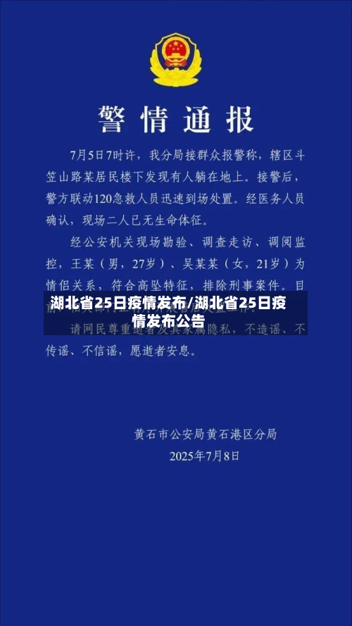 湖北省25日疫情发布/湖北省25日疫情发布公告-第2张图片