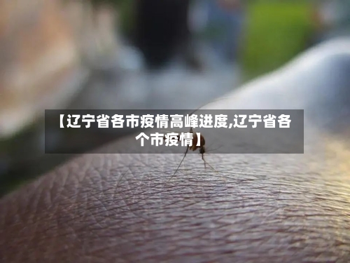 【辽宁省各市疫情高峰进度,辽宁省各个市疫情】-第1张图片