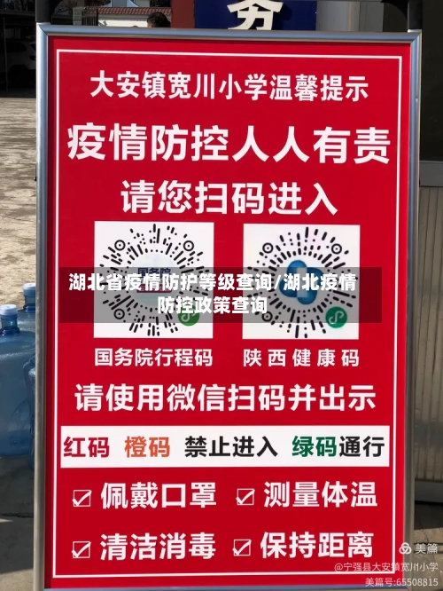 湖北省疫情防护等级查询/湖北疫情防控政策查询-第3张图片