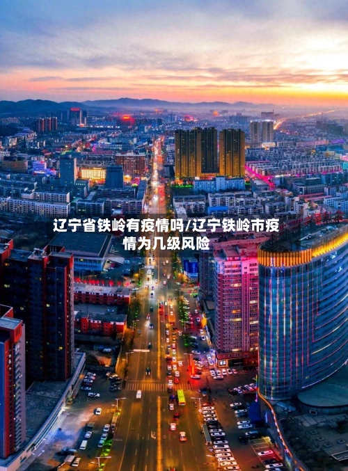 辽宁省铁岭有疫情吗/辽宁铁岭市疫情为几级风险-第2张图片