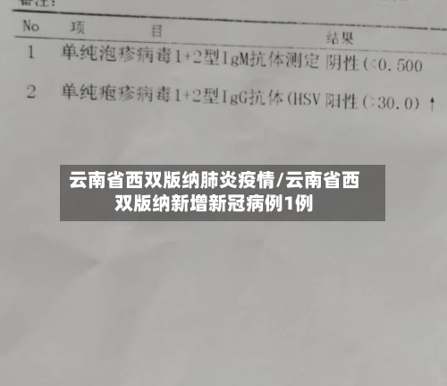 云南省西双版纳肺炎疫情/云南省西双版纳新增新冠病例1例-第2张图片