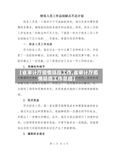 【省审计厅疫情防控工作,省审计厅疫情防控工作总结】-第2张图片