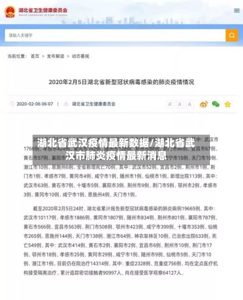 湖北省武汉疫情最新数据/湖北省武汉市肺炎疫情最新消息-第2张图片