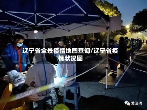 辽宁省全景疫情地图查询/辽宁省疫情状况图-第1张图片