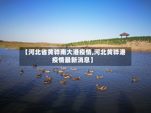 【河北省黄骅南大港疫情,河北黄骅港疫情最新消息】-第1张图片