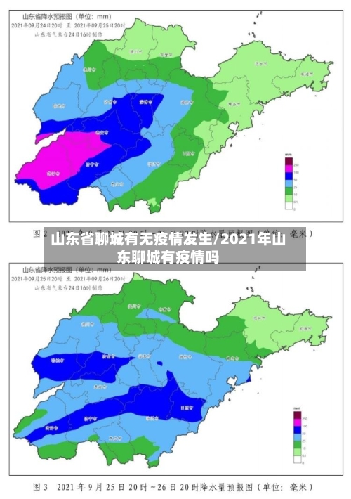 山东省聊城有无疫情发生/2021年山东聊城有疫情吗-第1张图片