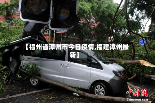 【福州省漳州市今日疫情,福建漳州最新】-第3张图片