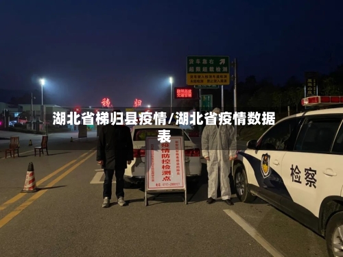 湖北省梯归县疫情/湖北省疫情数据表-第3张图片