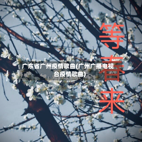 广东省广州疫情歌曲(广州广播电视台疫情歌曲)-第3张图片