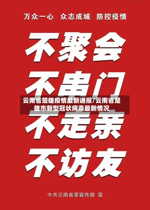 云南省楚雄疫情最新通报/云南省楚雄市新型冠状病毒最新情况-第1张图片