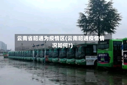 云南省昭通为疫情区(云南昭通疫情情况如何?)-第3张图片