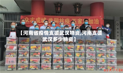 【河南省疫情支援武汉物资,河南支援武汉多少物资】-第3张图片