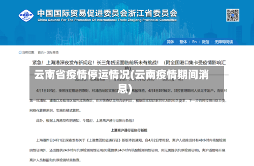 云南省疫情停运情况(云南疫情期间消息)-第2张图片