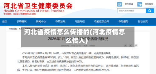 河北省疫情怎么传播的(河北疫情怎么传入)-第2张图片