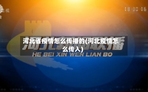 河北省疫情怎么传播的(河北疫情怎么传入)-第3张图片