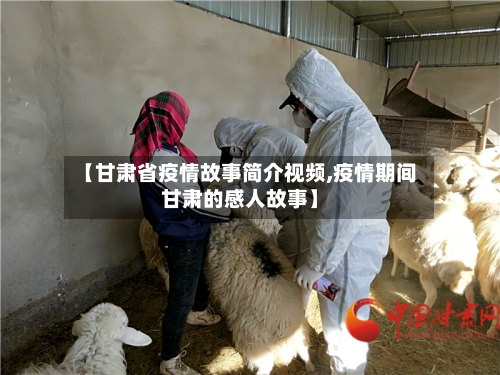 【甘肃省疫情故事简介视频,疫情期间甘肃的感人故事】-第1张图片