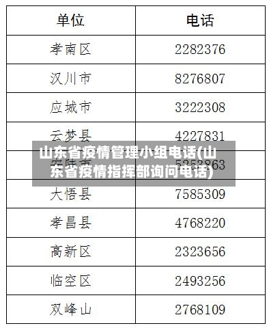 山东省疫情管理小组电话(山东省疫情指挥部询问电话)-第1张图片