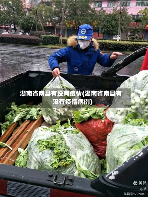 湖南省南县有没有疫情(湖南省南县有没有疫情病例)-第2张图片