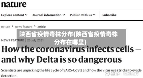 陕西省疫情毒株分布(陕西省疫情毒株分布在哪里)-第1张图片