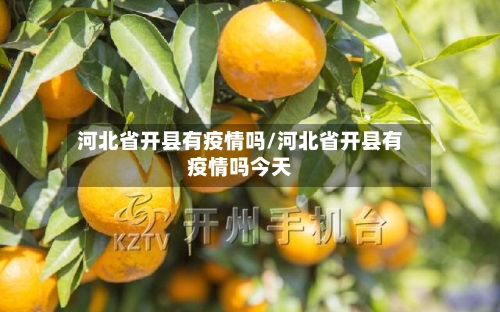 河北省开县有疫情吗/河北省开县有疫情吗今天-第1张图片