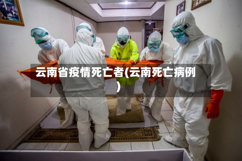 云南省疫情死亡者(云南死亡病例)-第3张图片