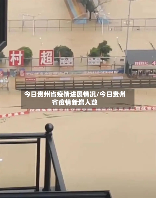 今日贵州省疫情进展情况/今日贵州省疫情新增人数-第2张图片