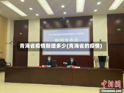 青海省疫情新增多少(青海省的疫情)-第1张图片