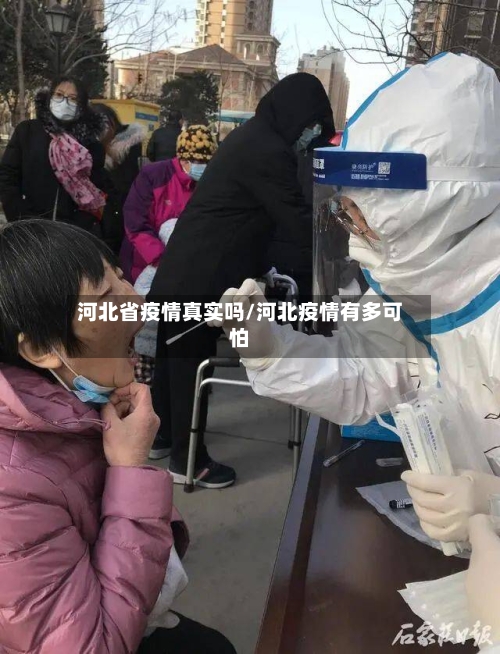 河北省疫情真实吗/河北疫情有多可怕-第1张图片