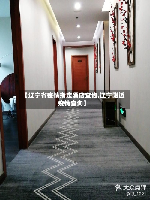 【辽宁省疫情指定酒店查询,辽宁附近疫情查询】-第1张图片