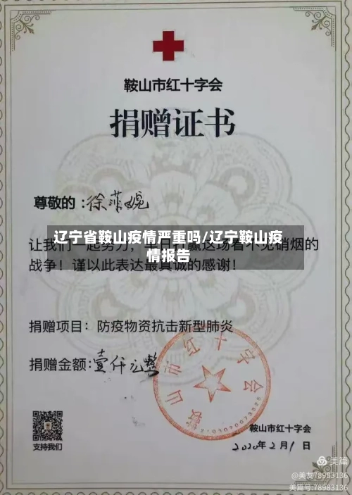 辽宁省鞍山疫情严重吗/辽宁鞍山疫情报告-第3张图片