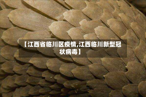 【江西省临川区疫情,江西临川新型冠状病毒】-第1张图片