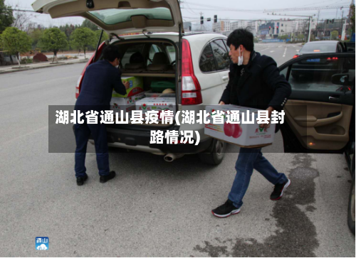 湖北省通山县疫情(湖北省通山县封路情况)-第1张图片
