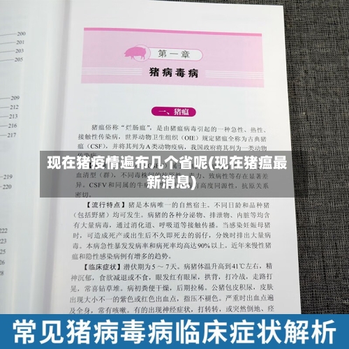 现在猪疫情遍布几个省呢(现在猪瘟最新消息)-第1张图片