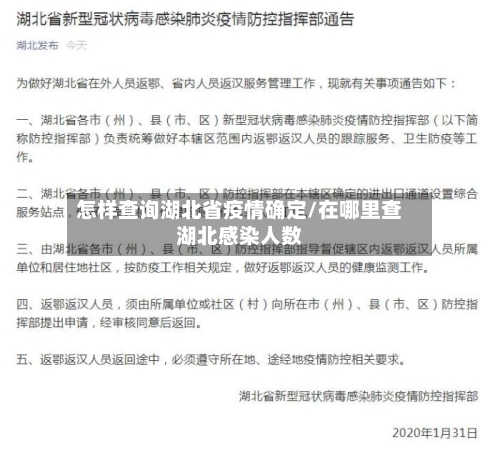 怎样查询湖北省疫情确定/在哪里查湖北感染人数-第1张图片